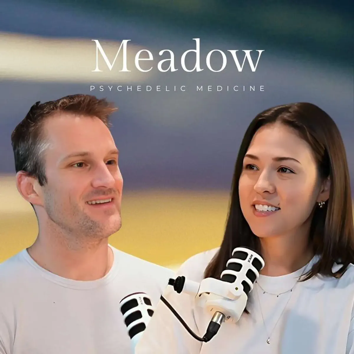 The Meadow Podcast artwork
