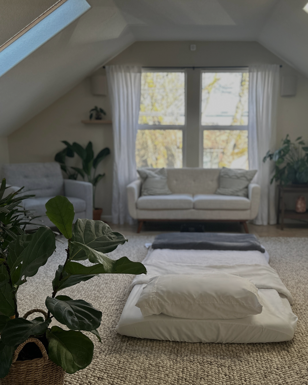 Meadow Medicine therapy room